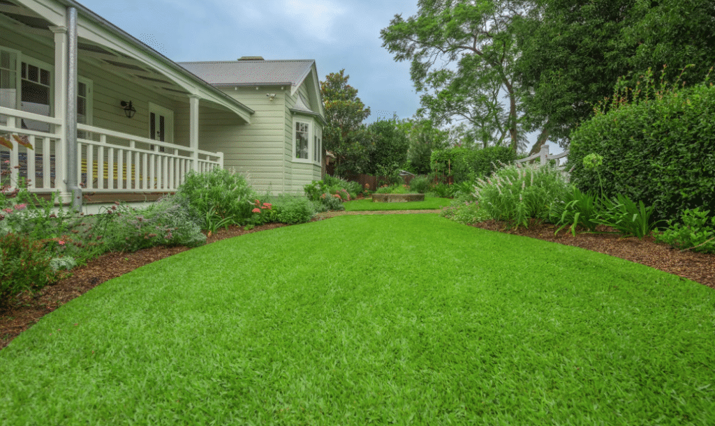 ivanaturf || ivanaturf turf || ivanaturf pmu